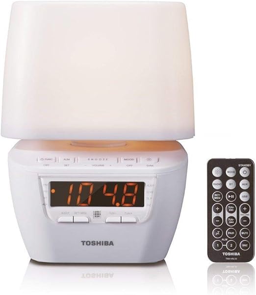 Toshiba TY-HRL50 Party Speaker