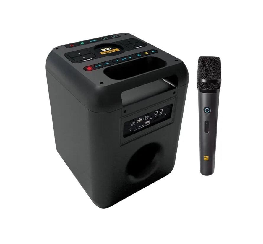 Platinum CK15 Portable Karaoke Speaker (w/ 2 wireless mics)